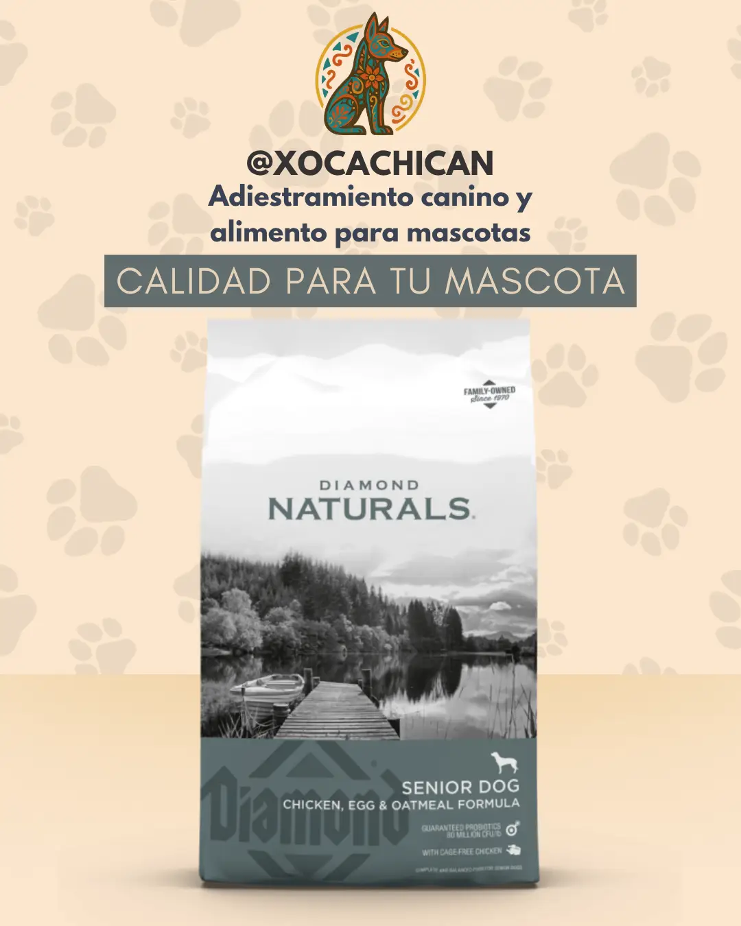 Diamond Naturals Senior 8+ Chicken, Egg & Oatmeal