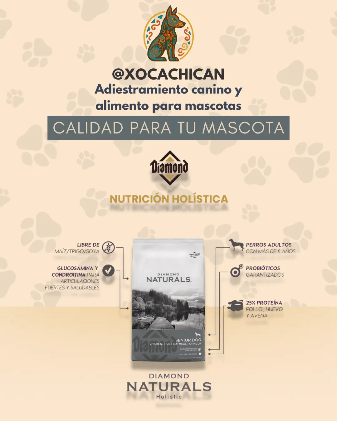 Diamond Naturals Senior 8+ Chicken, Egg & Oatmeal - Imagen 3