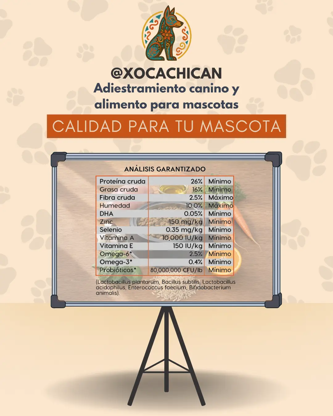 Diamond Naturals All Life Stages Dog Chicken & Rice - Imagen 2