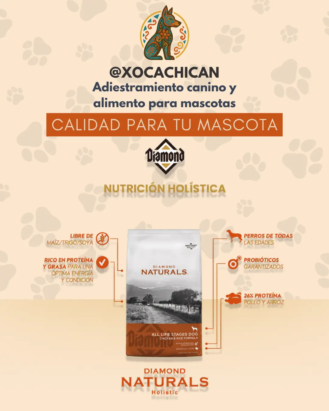 Diamond Naturals All Life Stages Dog Chicken & Rice - Imagen 3