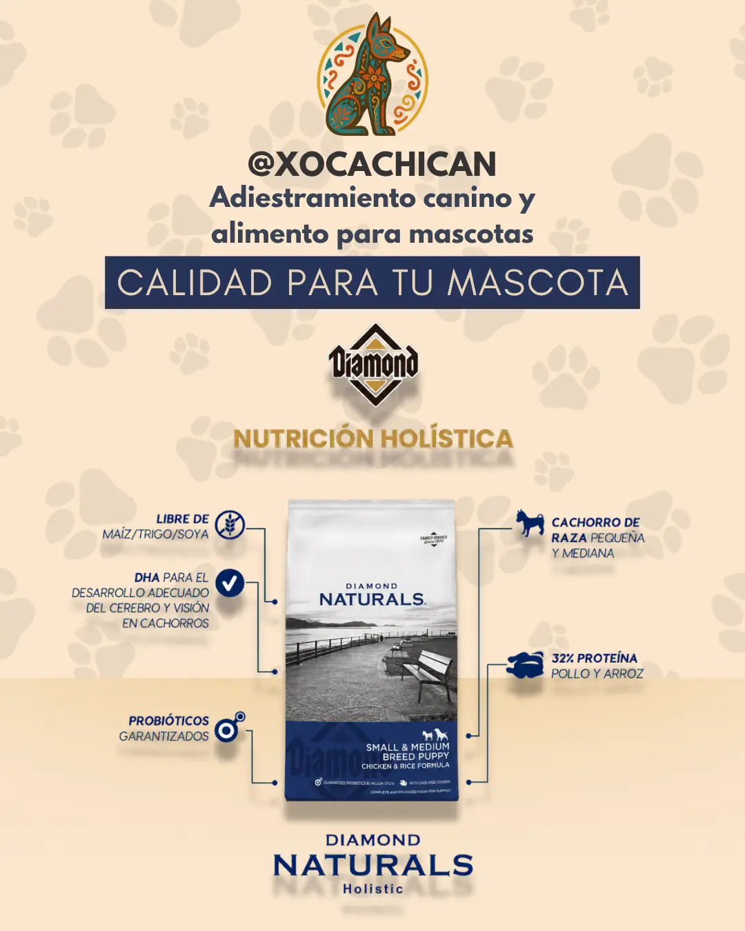 Diamond Naturals Small & Medium Breed Puppy - Imagen 3