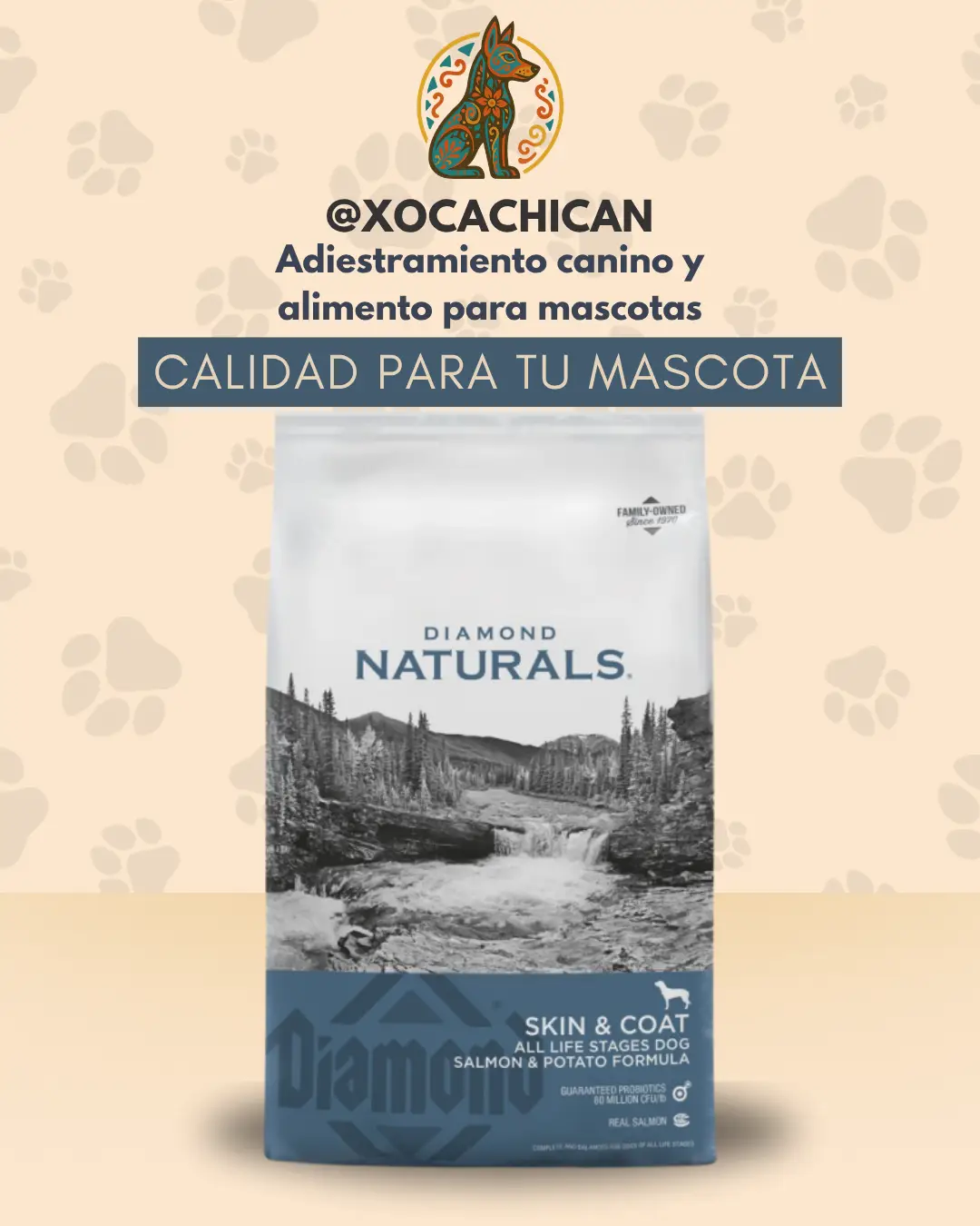 Diamond Naturals Skin & Coat Salmon & Potato