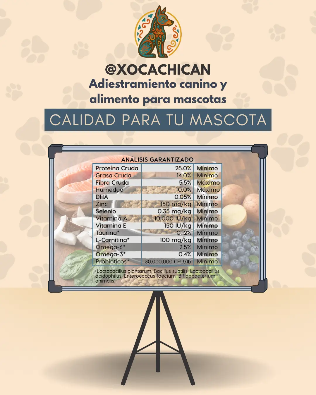 Diamond Naturals Skin & Coat Salmon & Potato - Imagen 2