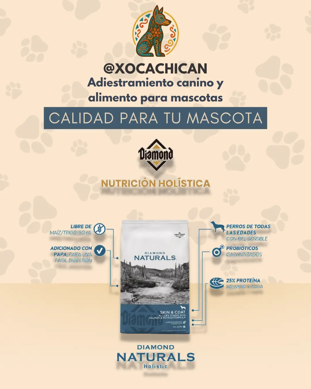 Diamond Naturals Skin & Coat Salmon & Potato - Imagen 3