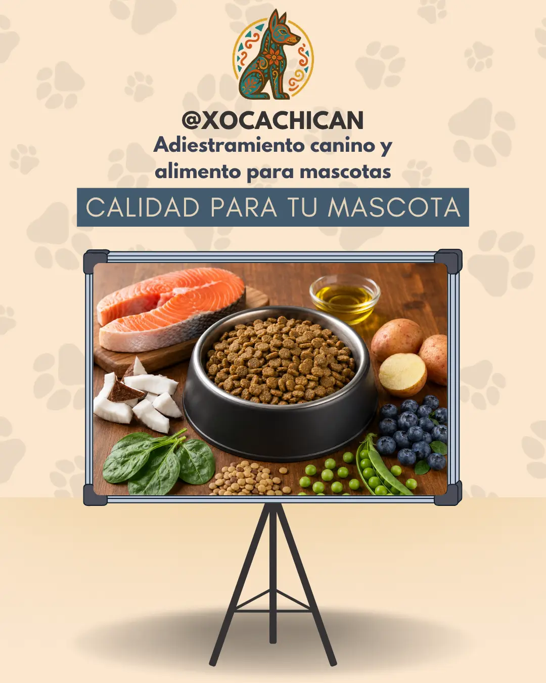 Diamond Naturals Skin & Coat Salmon & Potato - Imagen 4