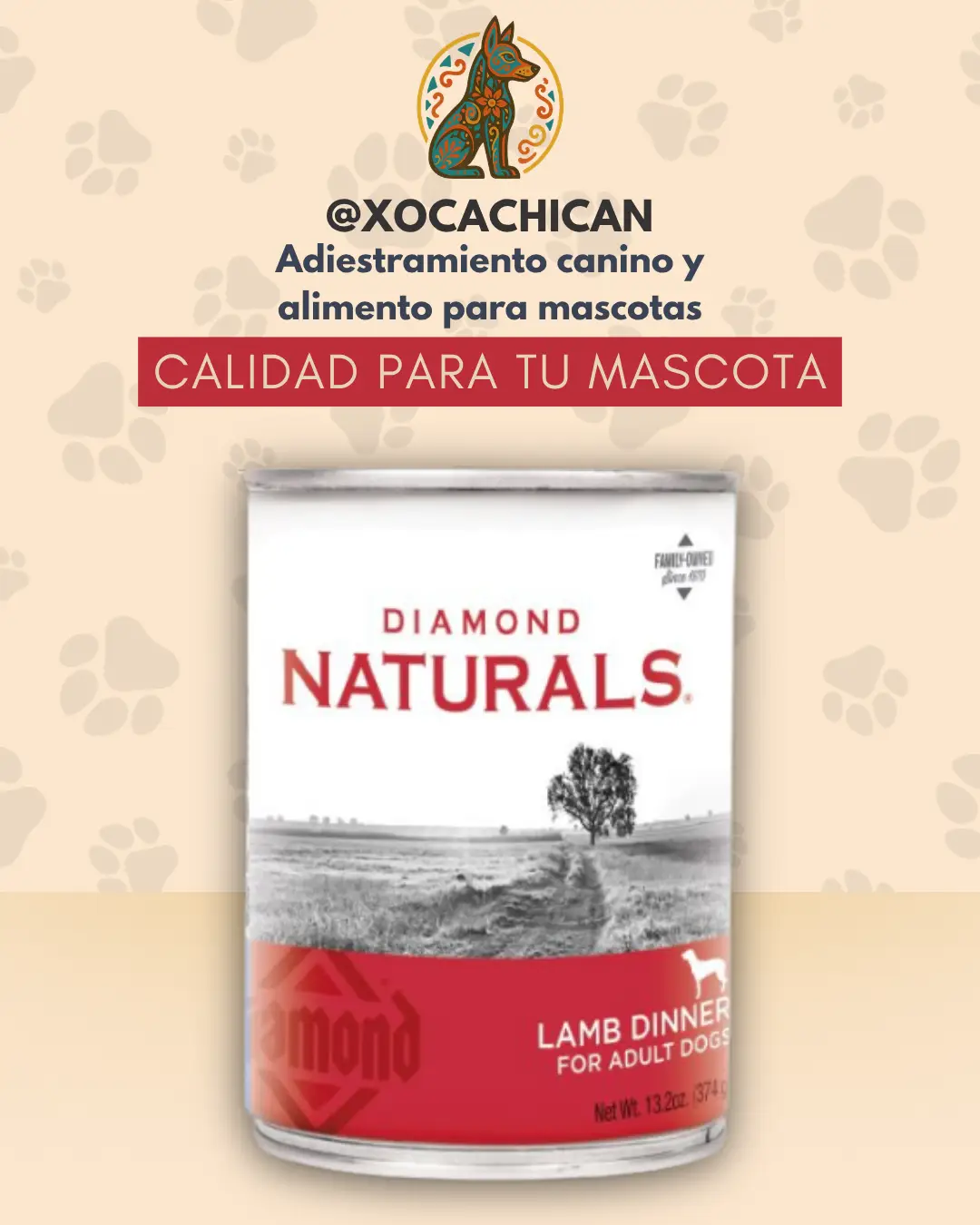 Diamond Naturals Lamb Dinner para Perros Adultos