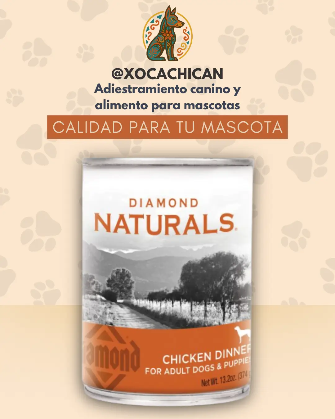Diamond Naturals Chicken Dinner para Perros Adultos y Cachorros