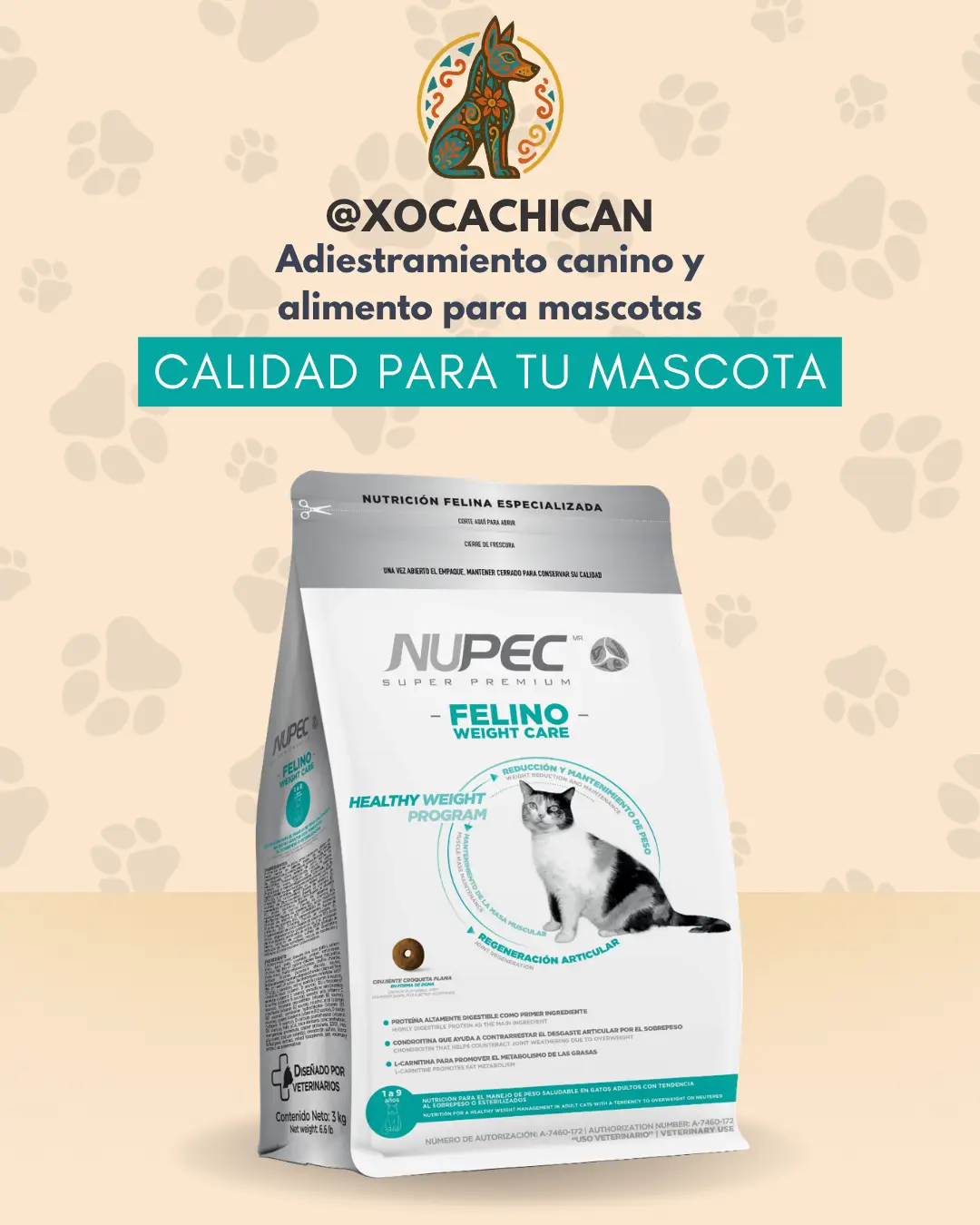 NUPEC Felino Weight Care