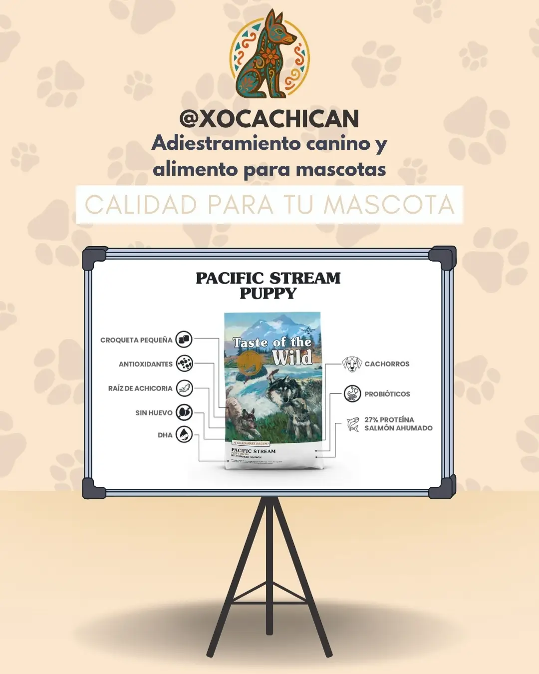 Pacific Stream Puppy - Imagen 4