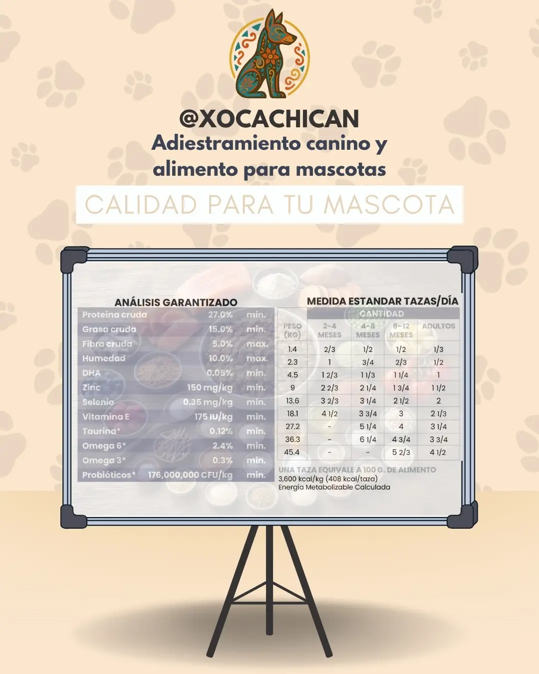 Pacific Stream Puppy - Imagen 5